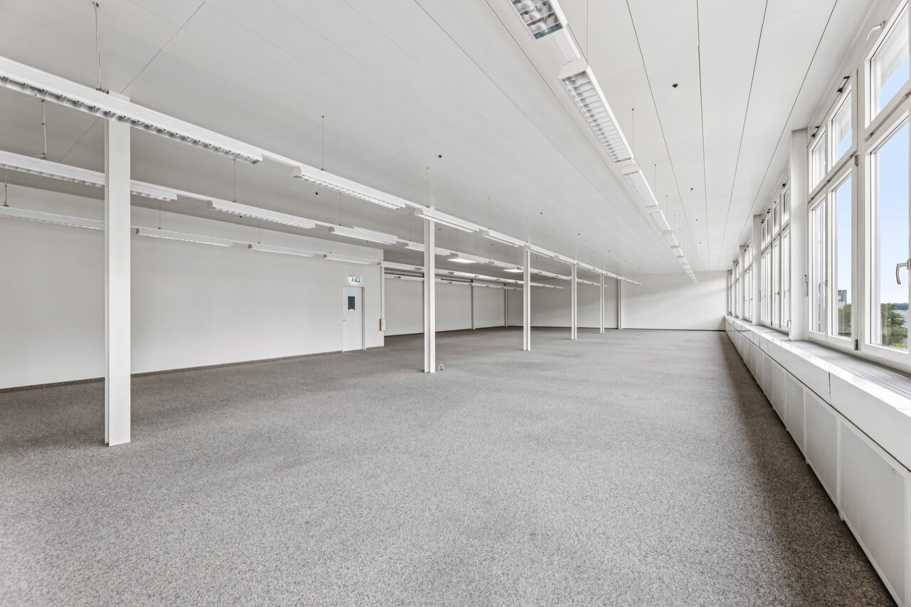 331m² commercial