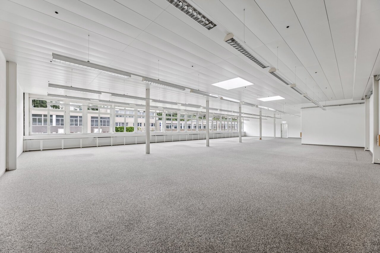 331m² commercial