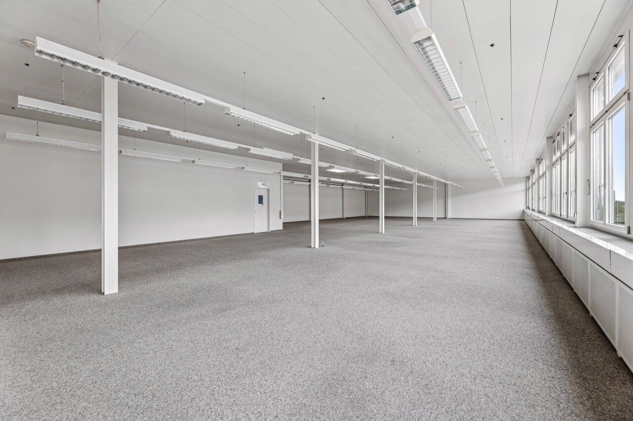 331m² commercial