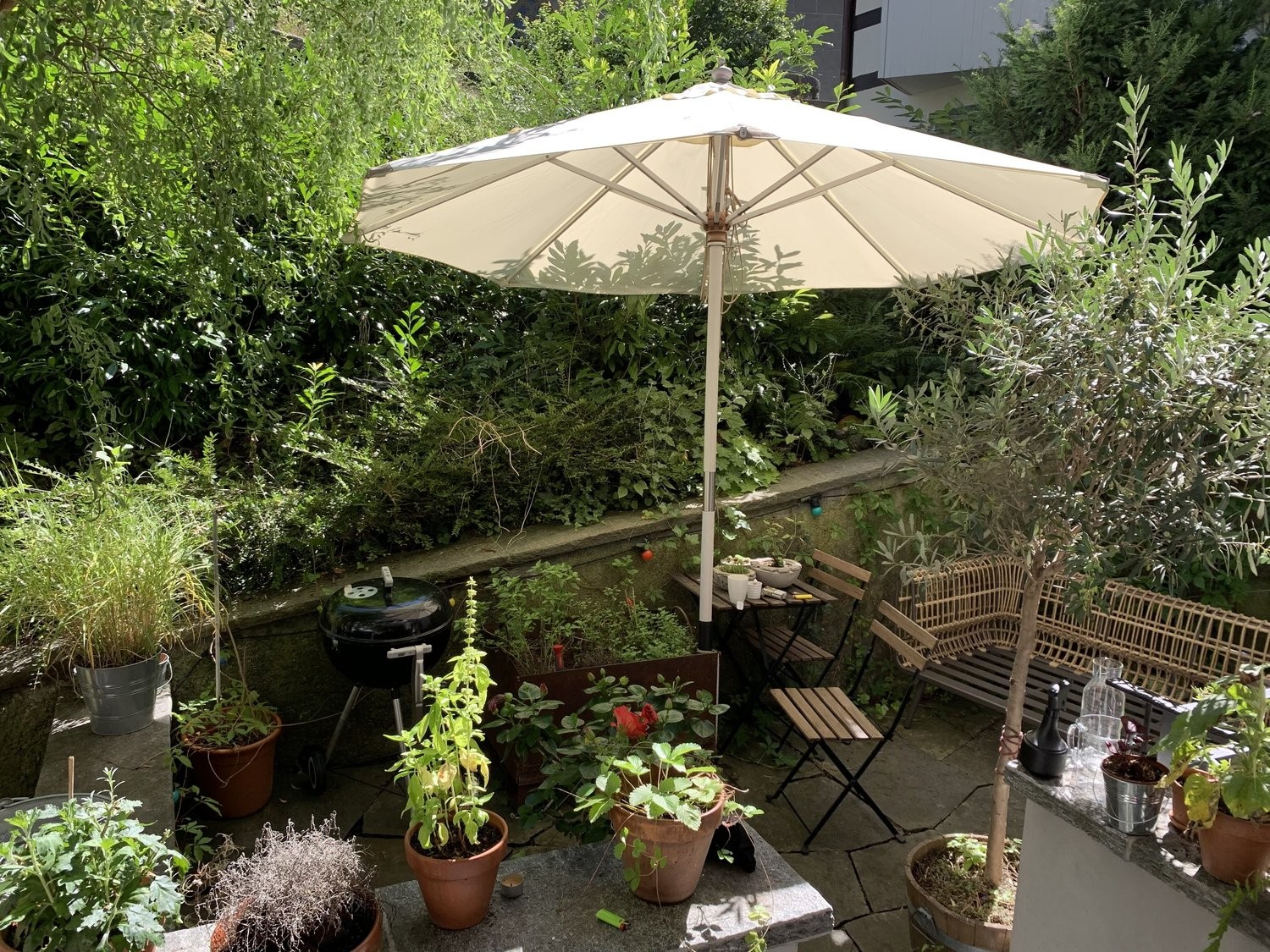 Appartement meublé de 3 ½ pièces