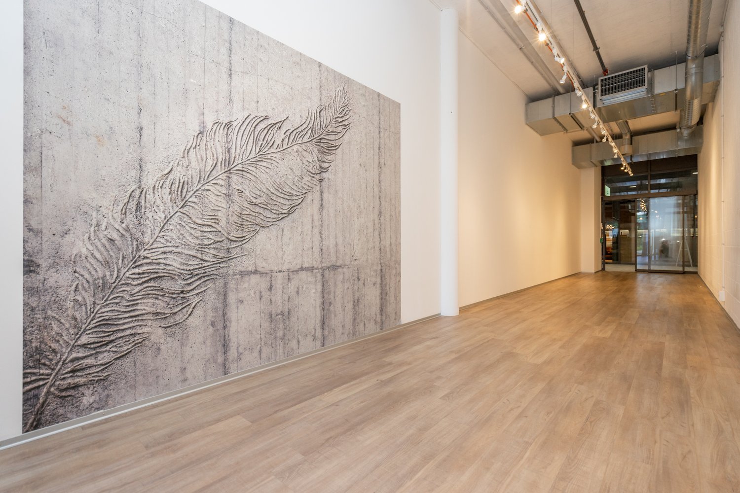 51m² negozio