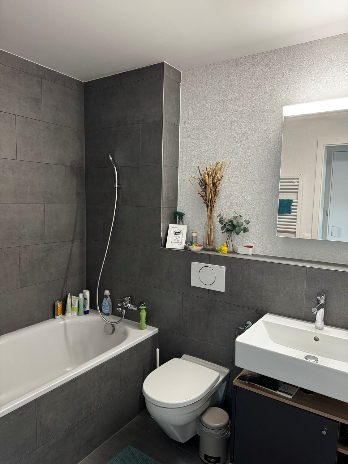 Appartement meublé de 4 ½ pièces