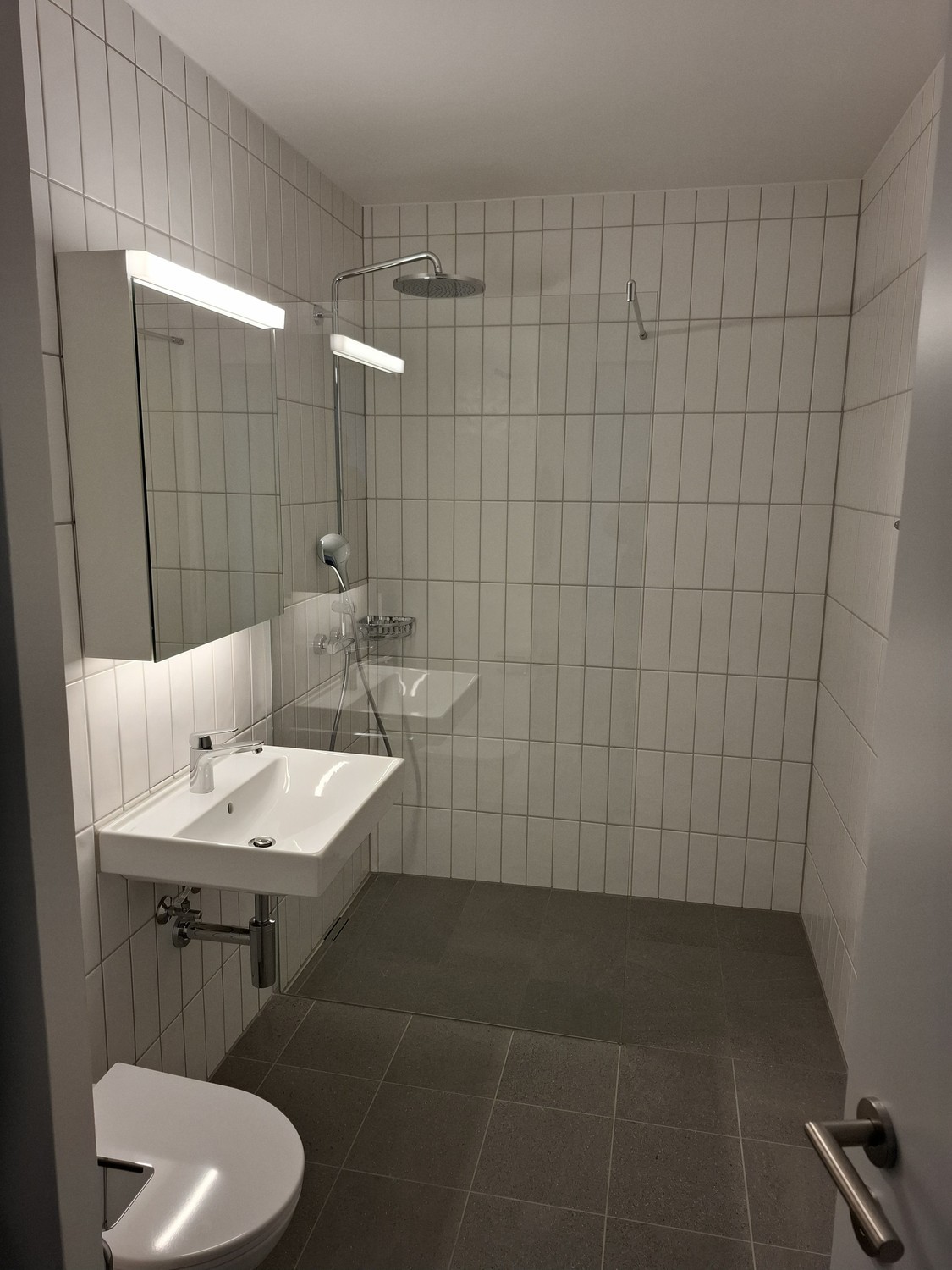 2 ½ rooms apartment