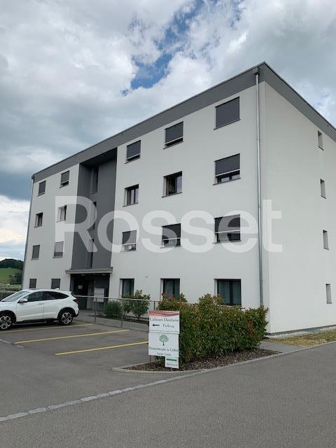 appartamento con 1 locale arredato