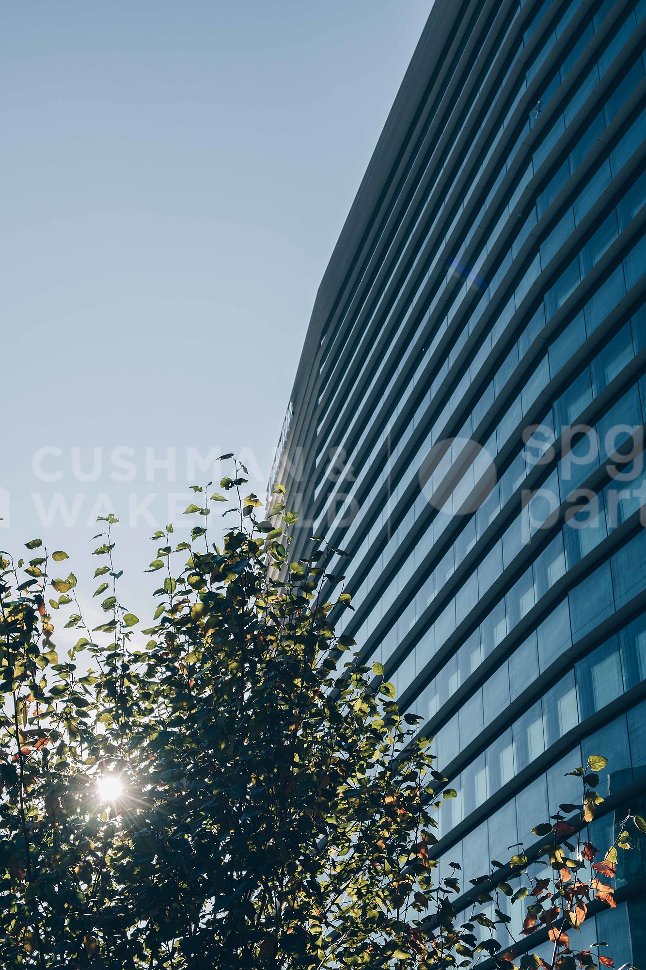 288m² office