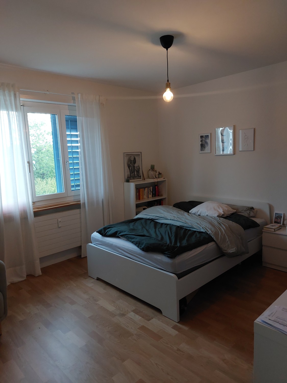 Room in a shared flat
