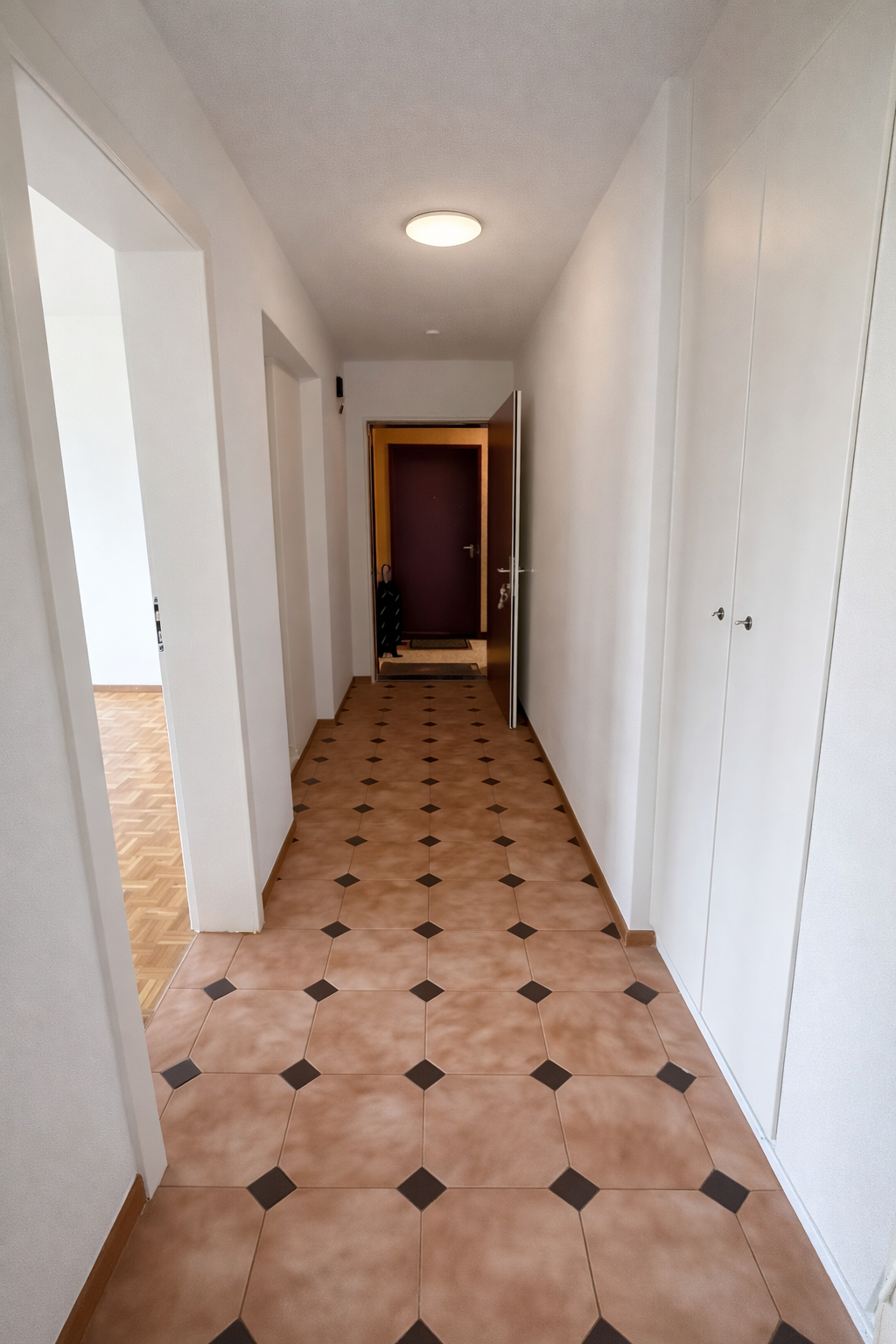 3 ½ Zimmer-Wohnung