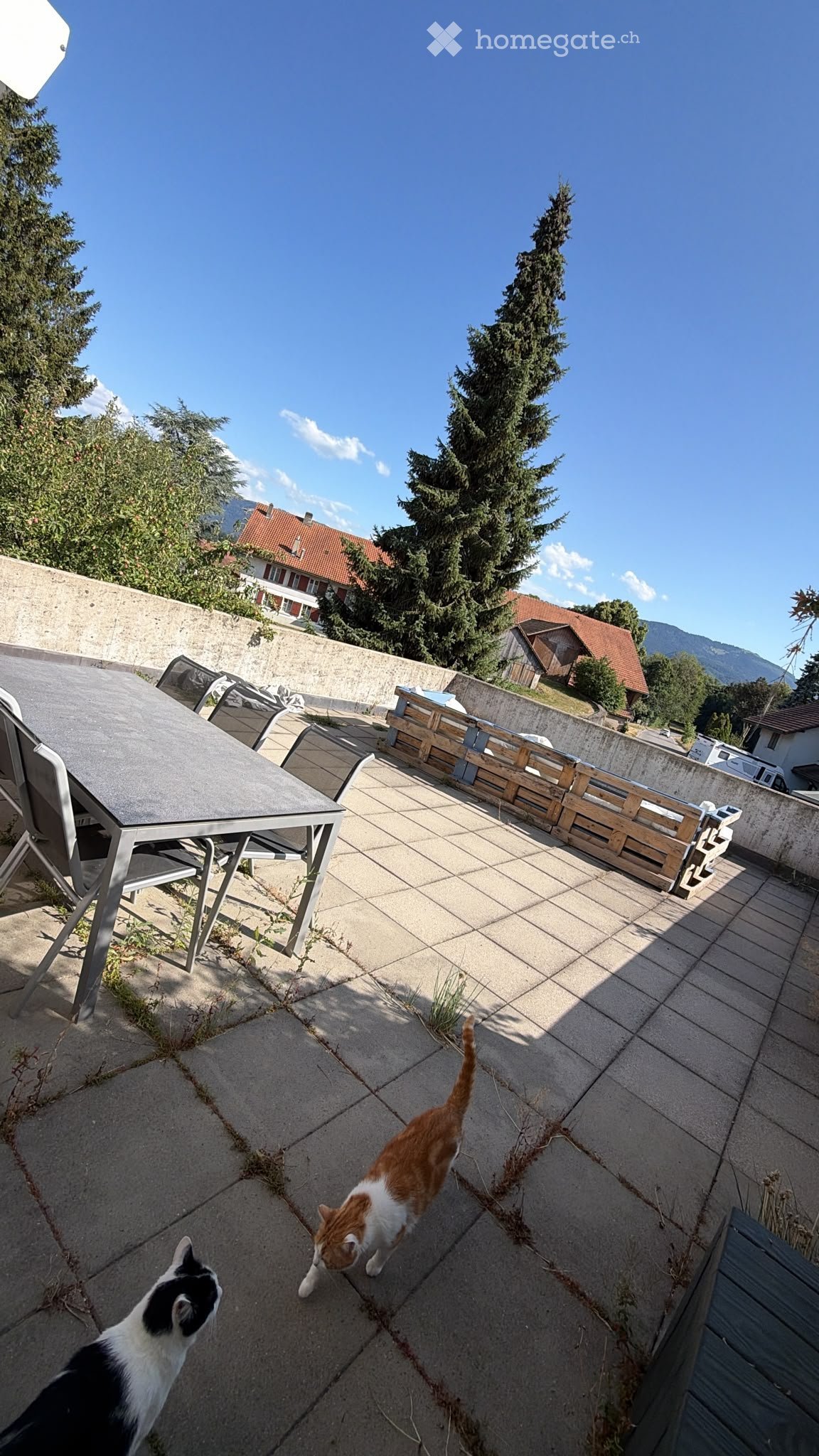 3 ½ rooms apartment