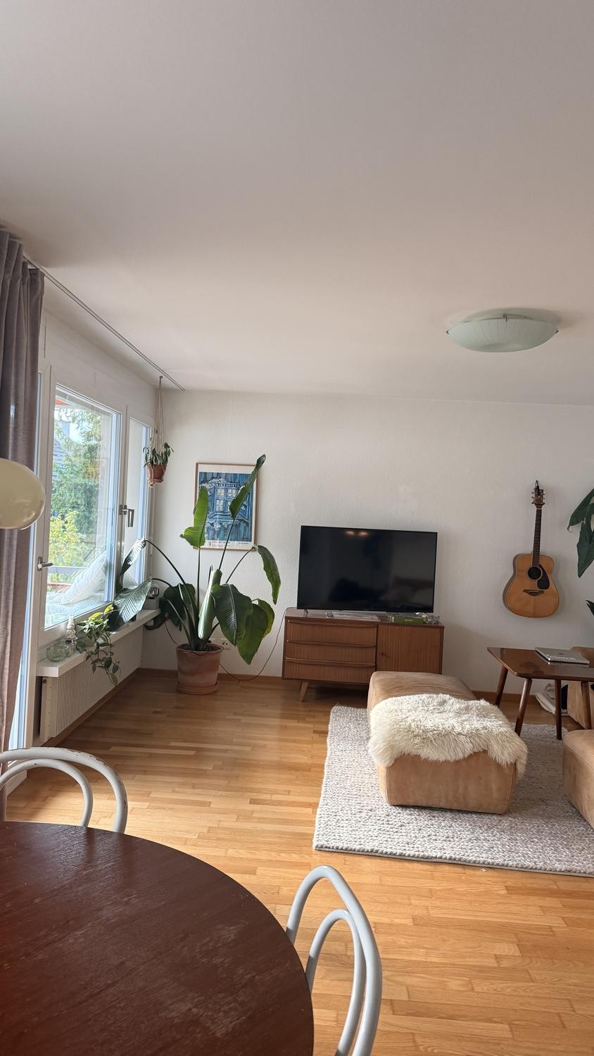 Appartamento di 2 ½ locali