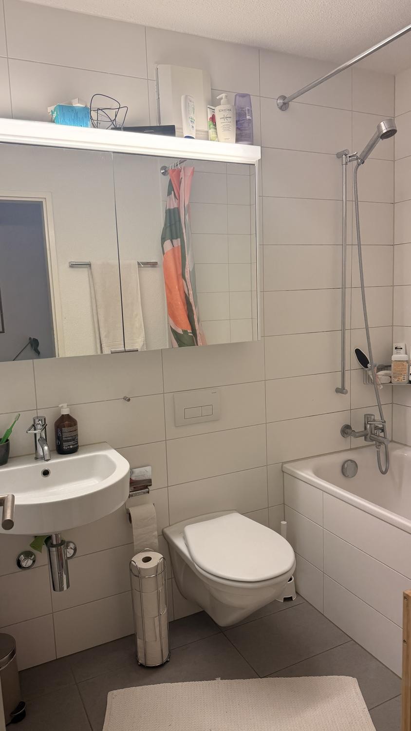 Appartamento di 2 ½ locali