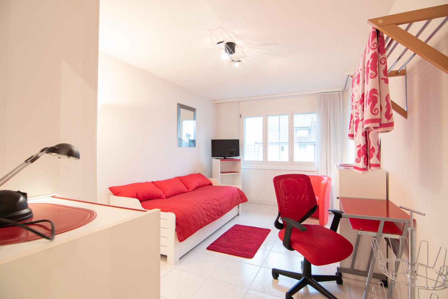 2 ½ rooms furnished flat