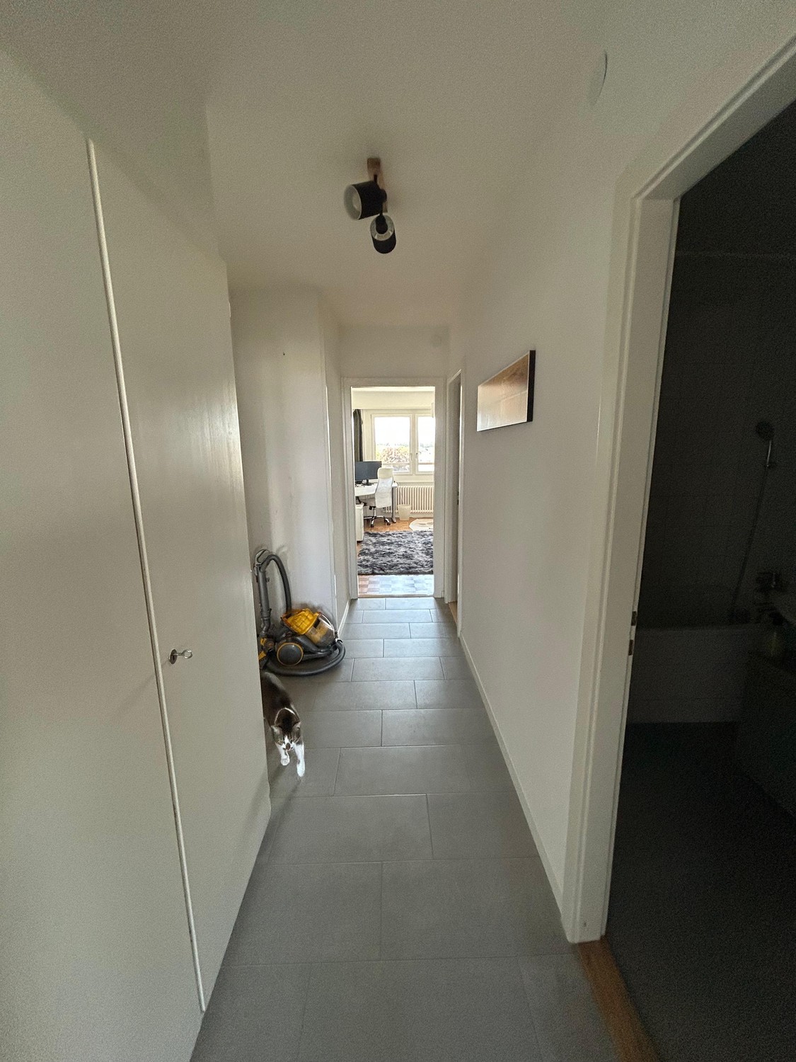 3 ½ Zimmer Wohnung