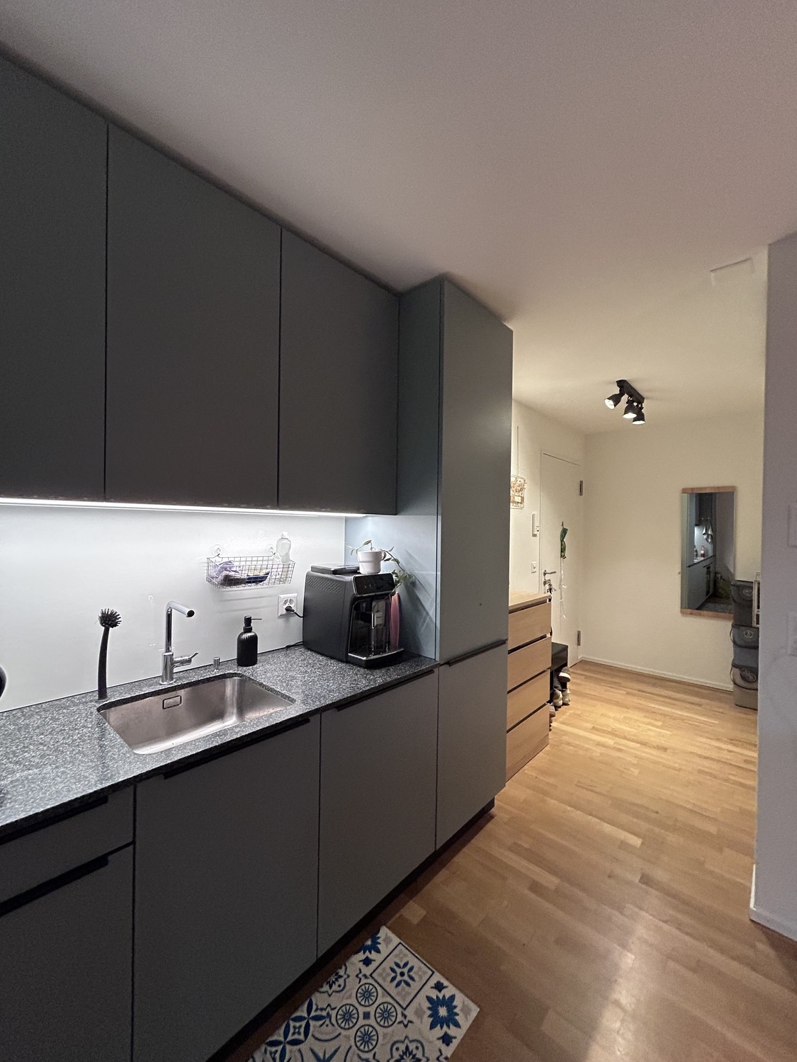 Appartement de 2 ½ pièces