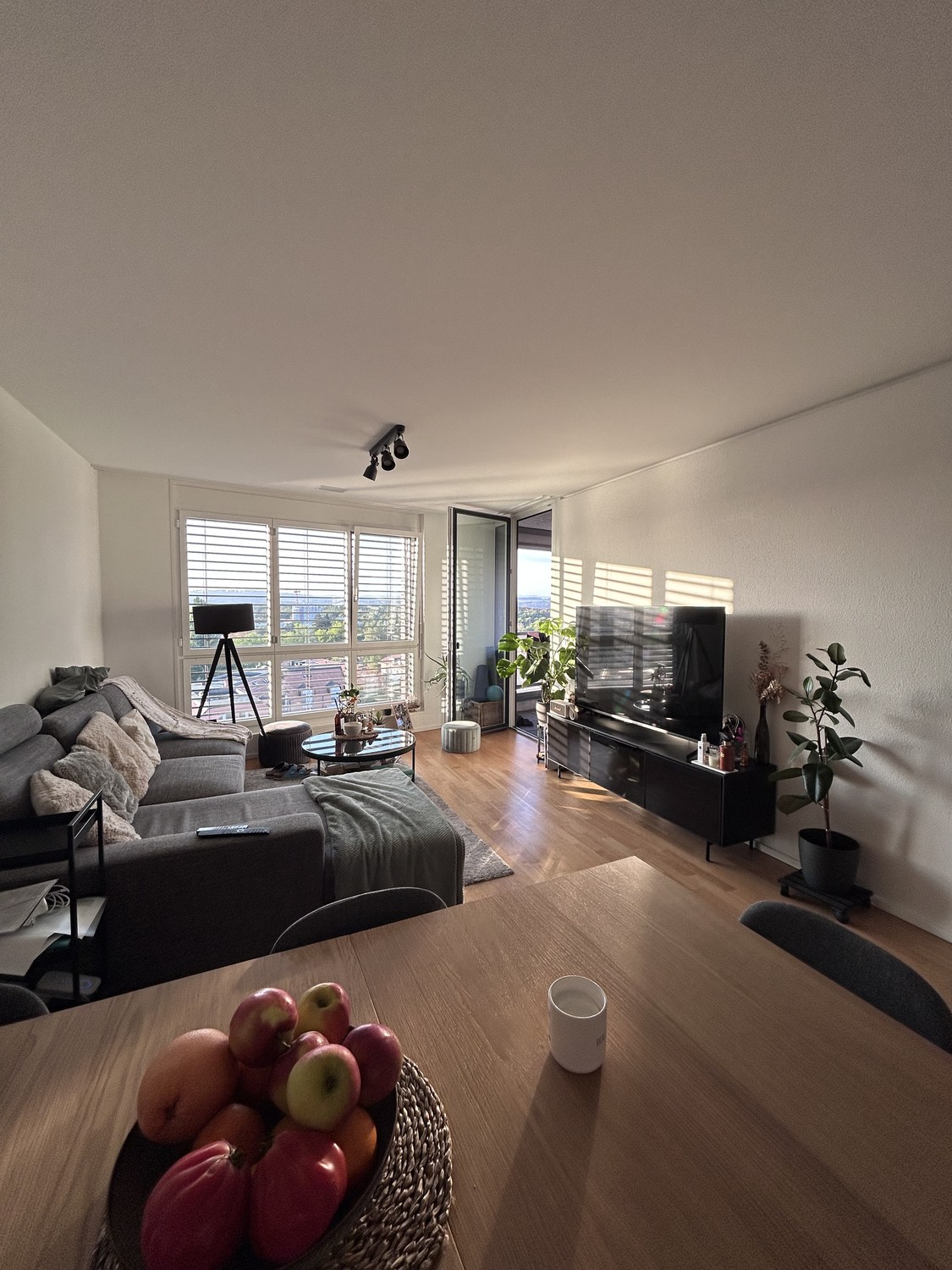 Appartement de 2 ½ pièces