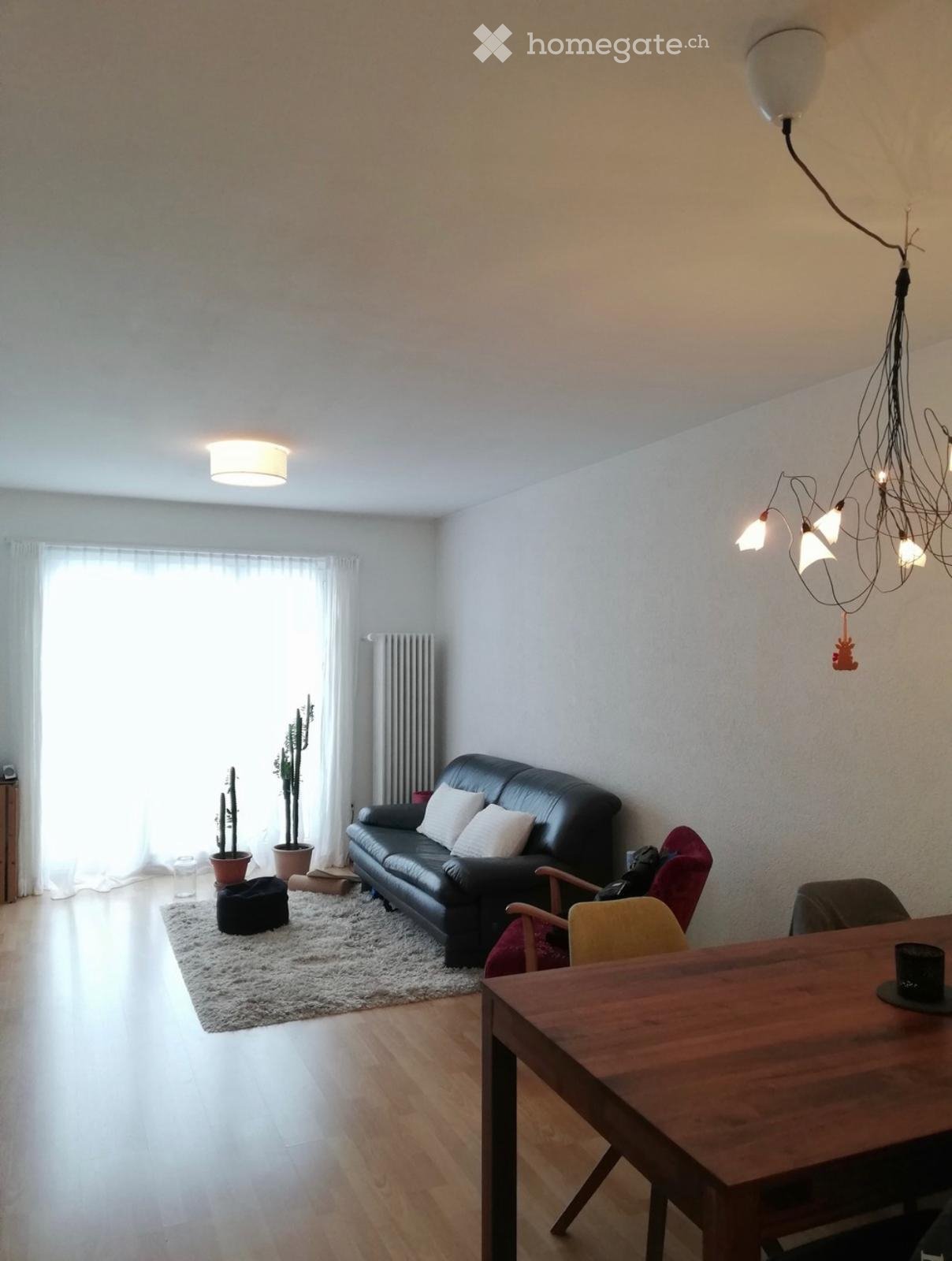 1 Zimmer Einzelzimmer