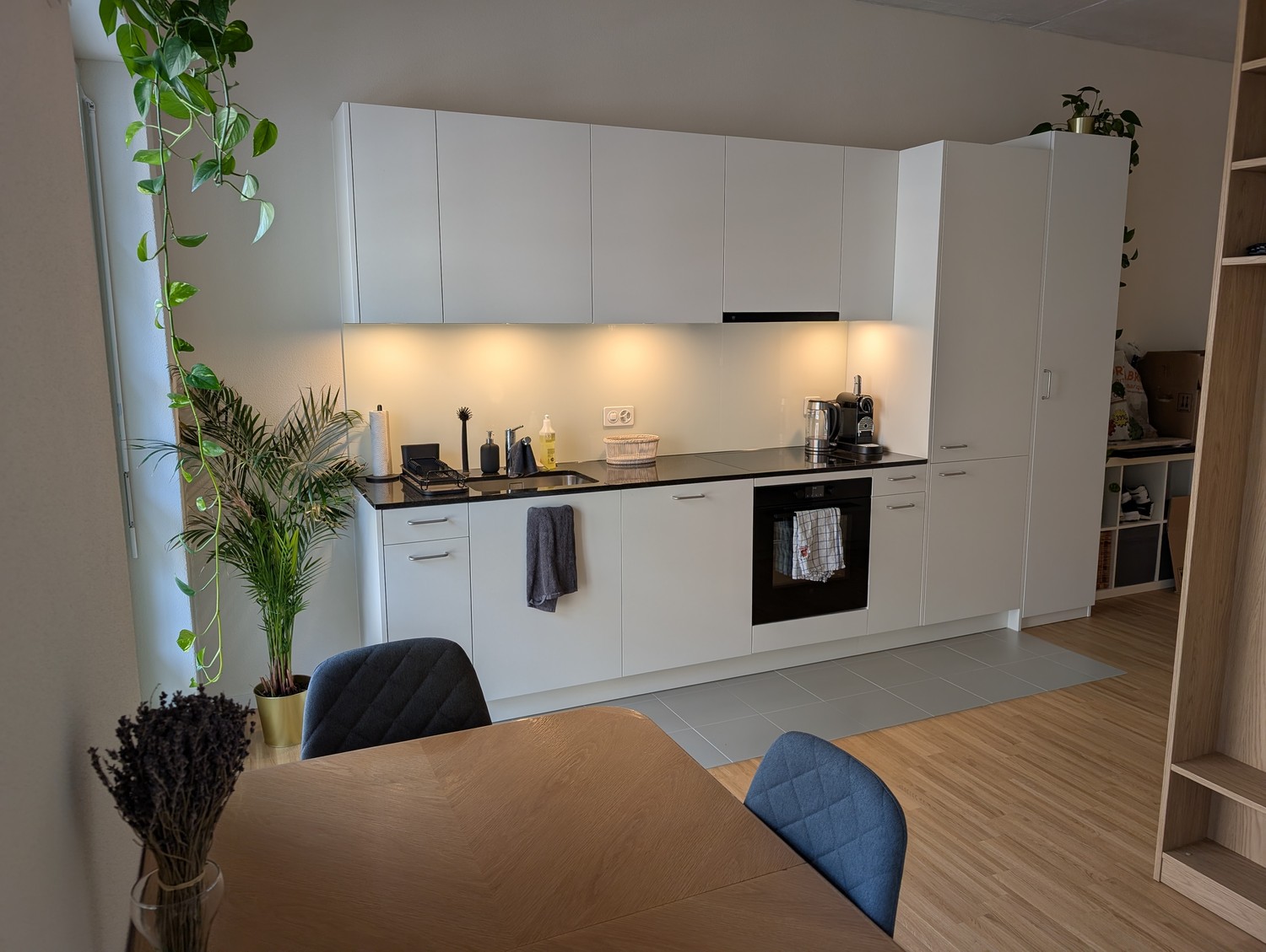 Appartement de 1 ½ pièce