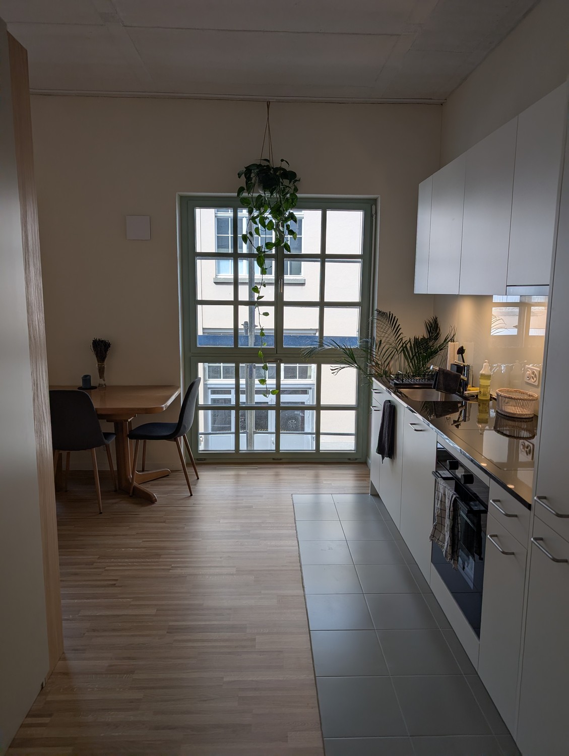 Appartement de 1 ½ pièce