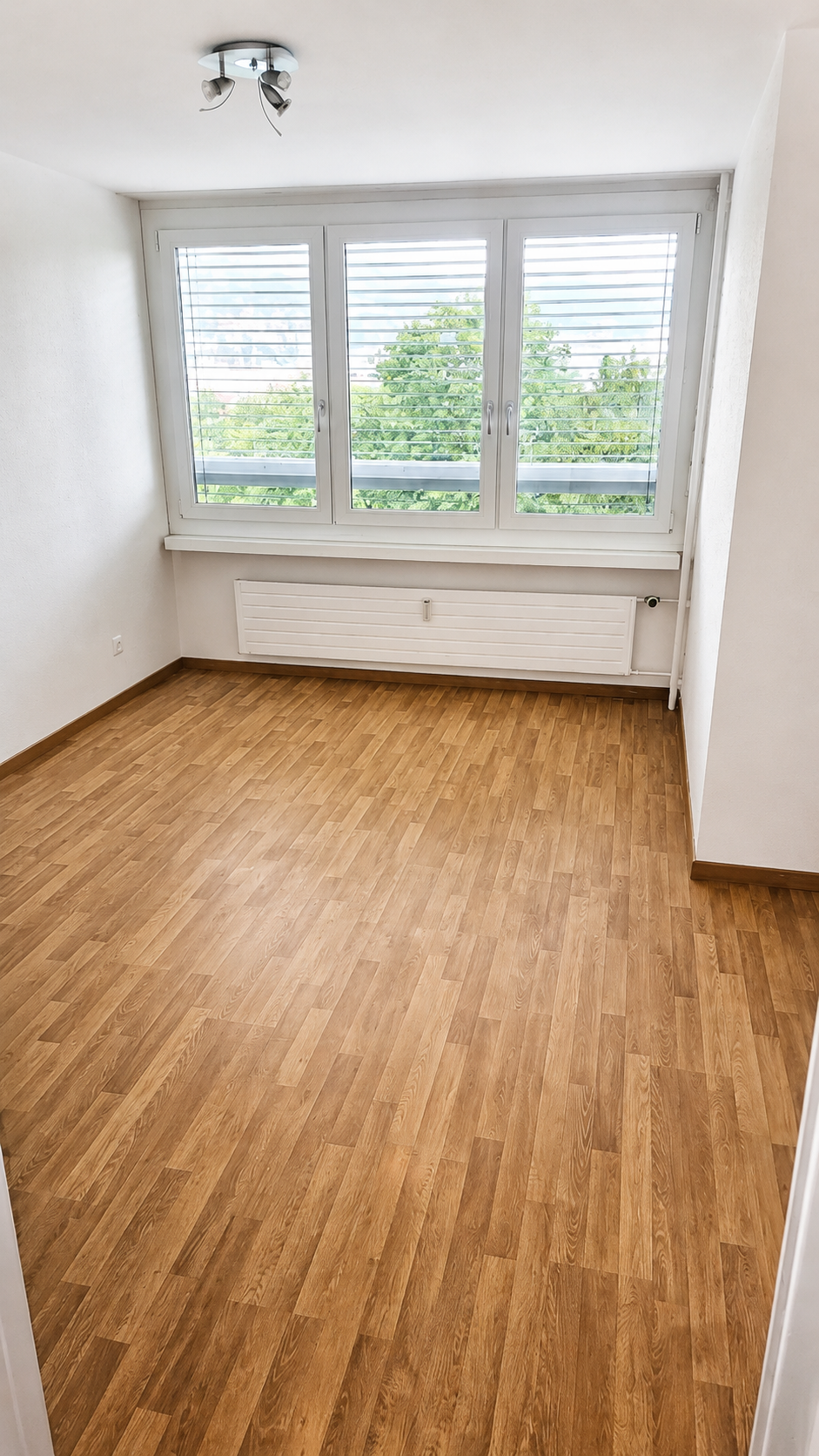 Appartement de 3 ½ pièces