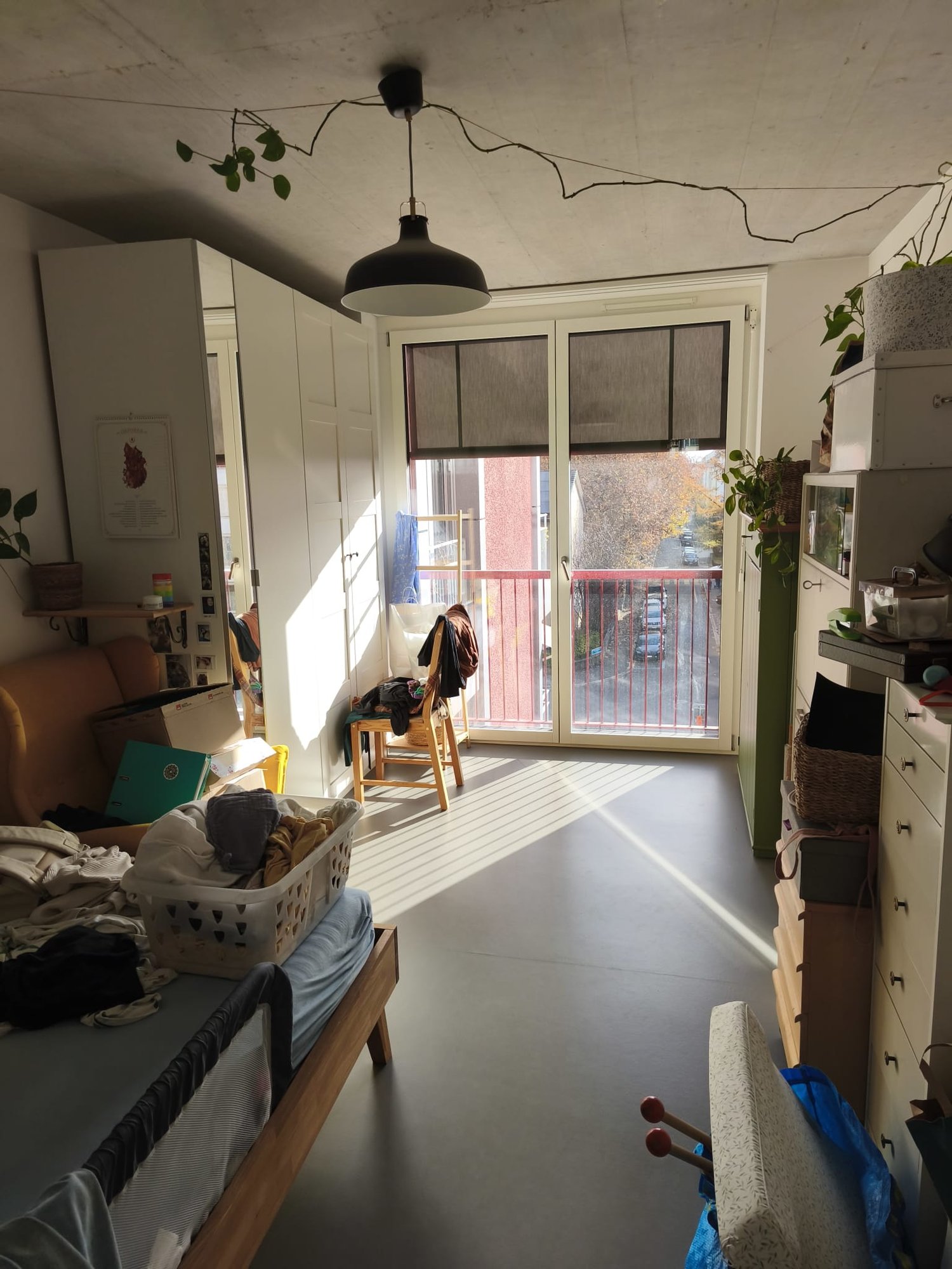 Room in a shared flat