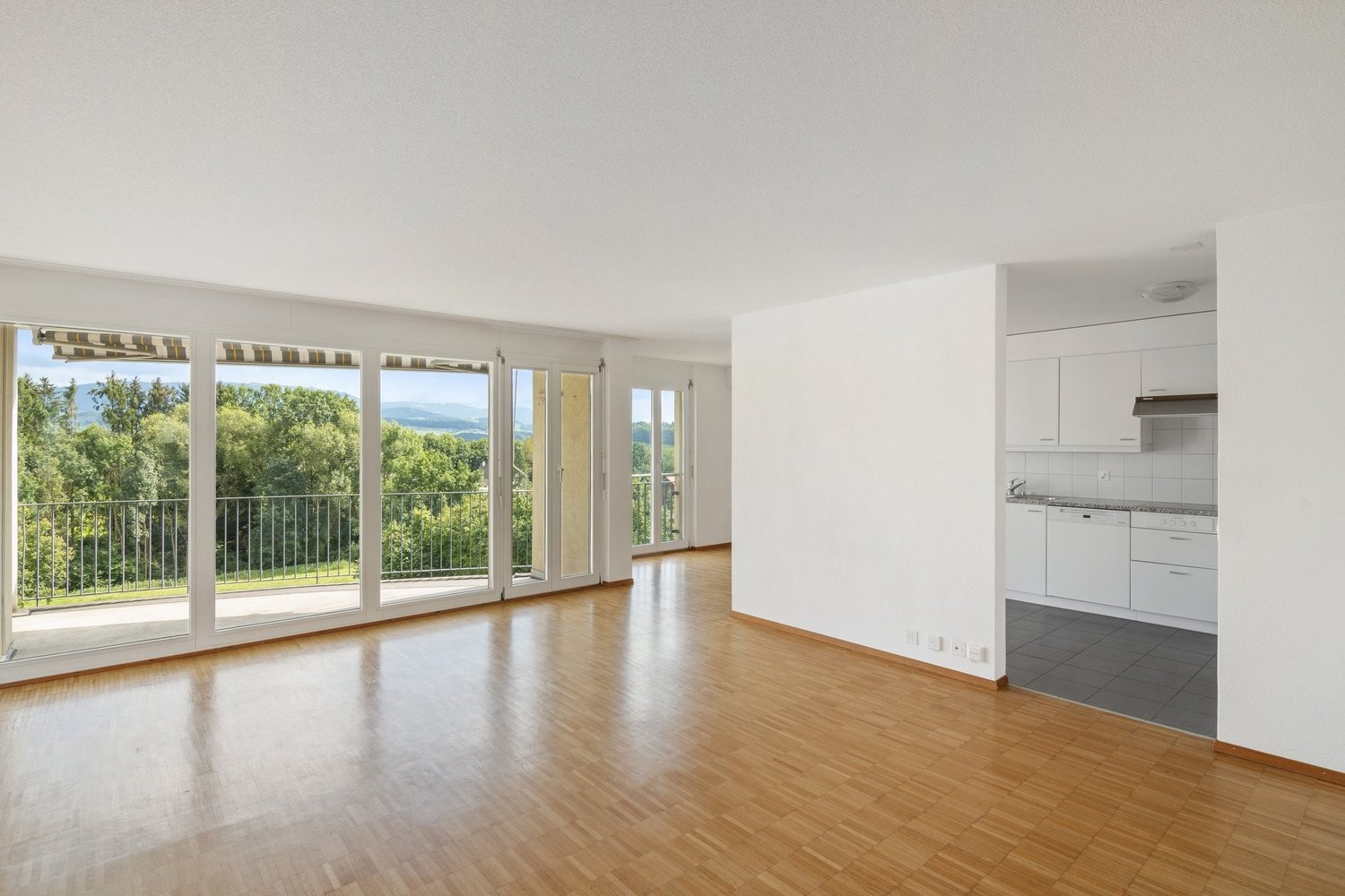 4 ½ rooms apartment