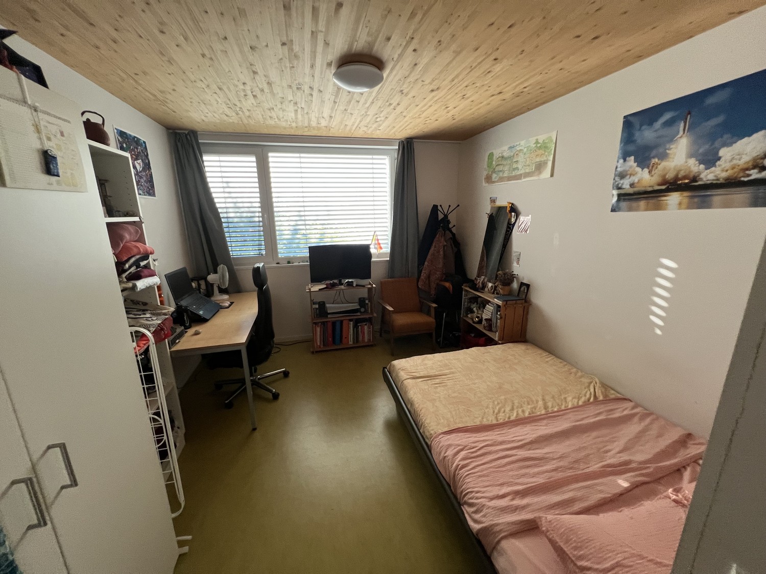 Room in a shared flat