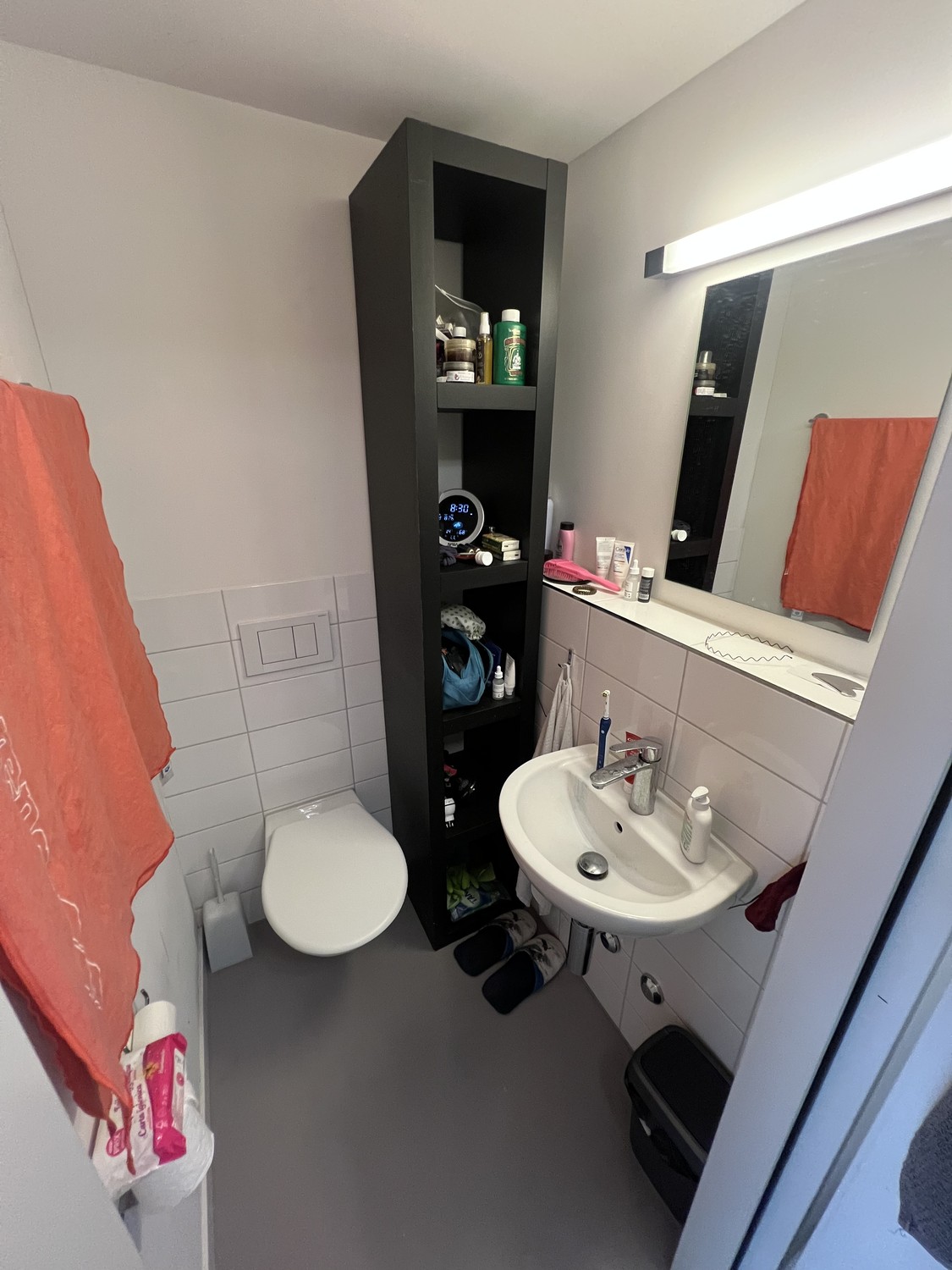 Room in a shared flat
