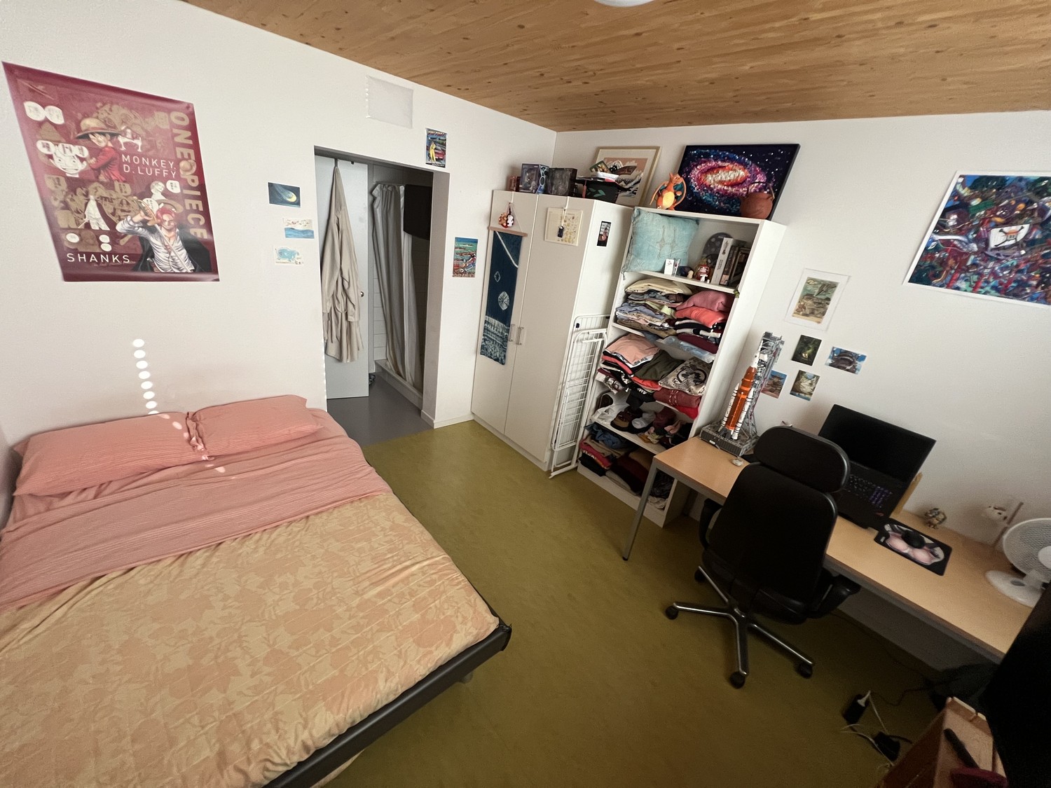 Room in a shared flat