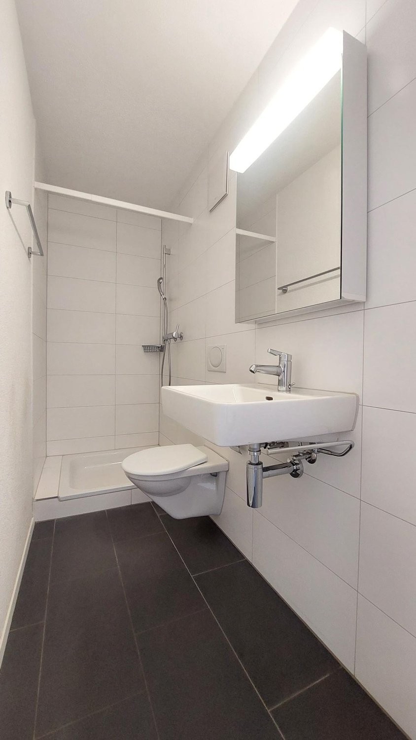 3 ½ room apartment