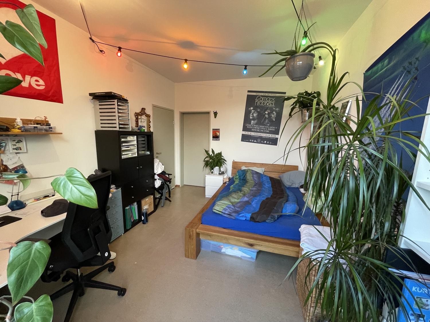 Chambre en colocation