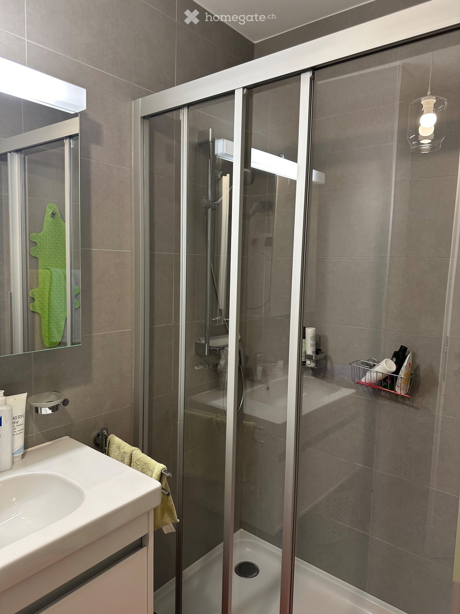 4 ½ Zimmer Wohnung