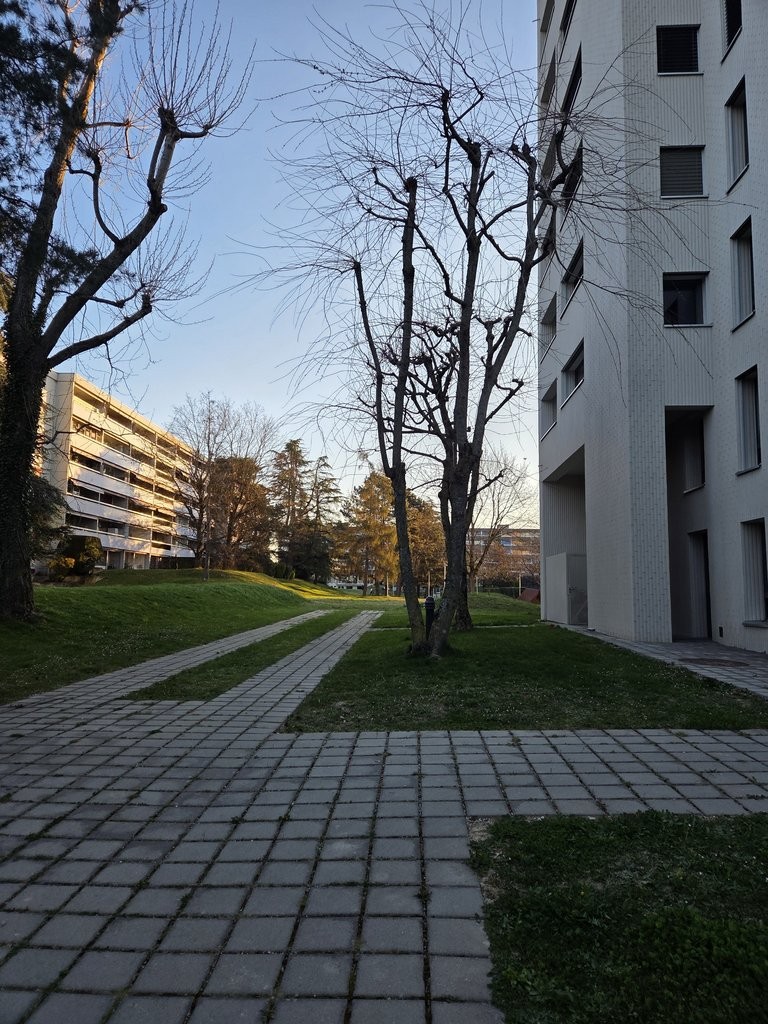 appartamento di 2 locali