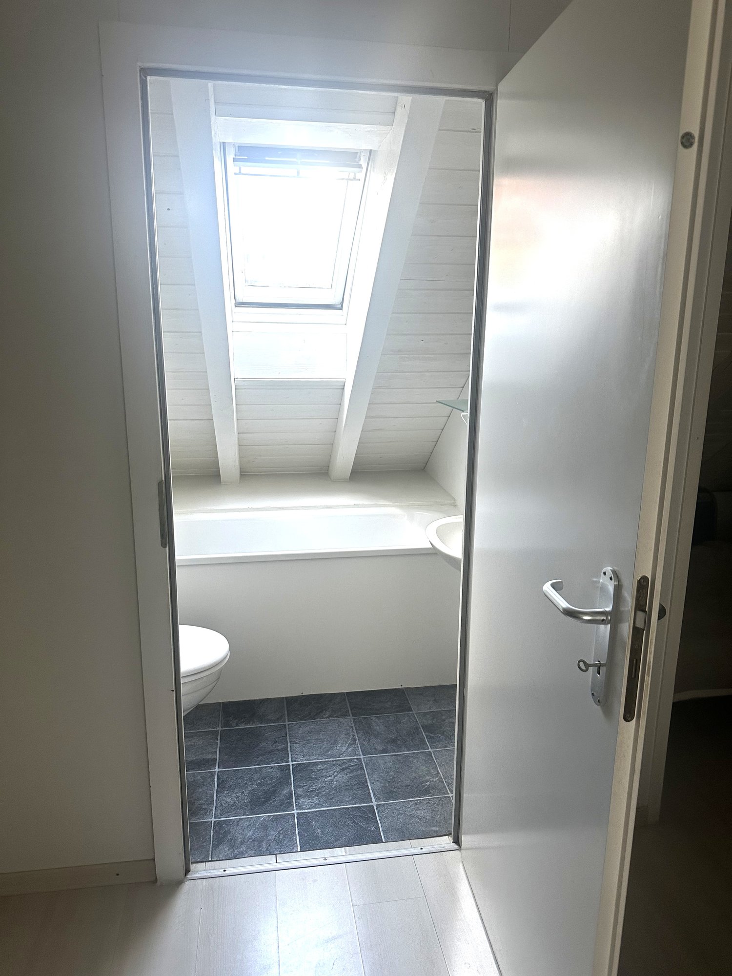appartement de 1 pièce sous les combles