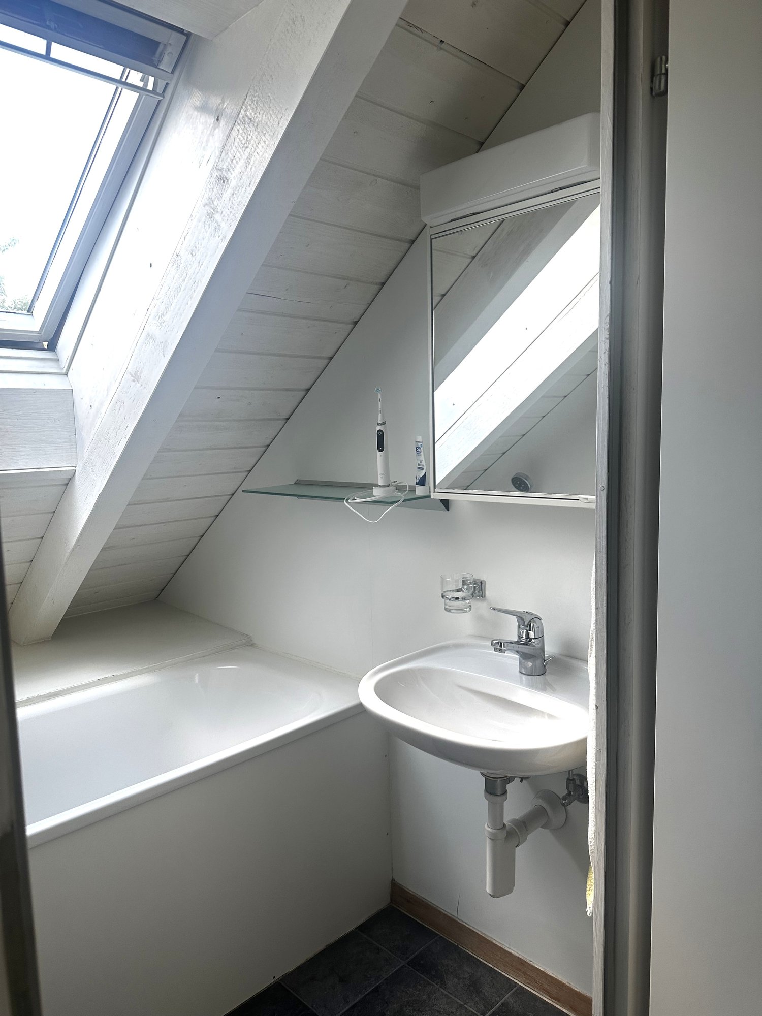 appartement de 1 pièce sous les combles