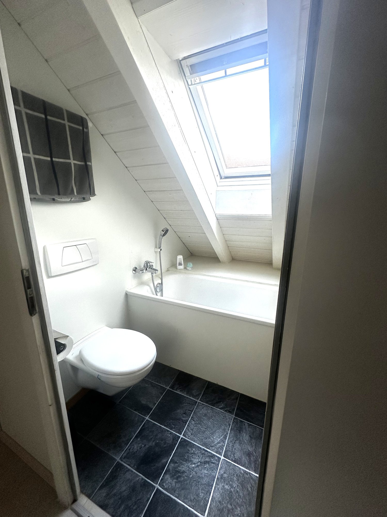 appartement de 1 pièce sous les combles