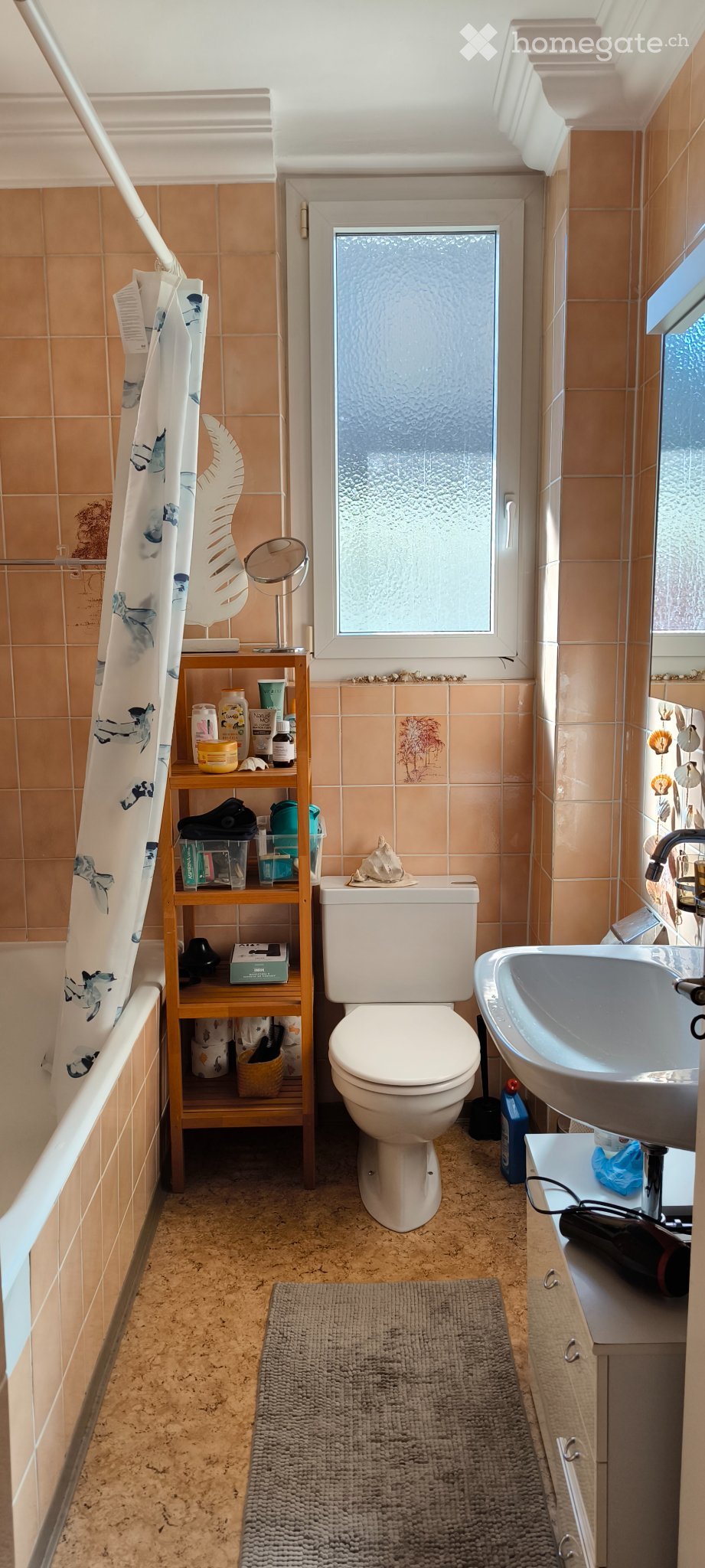 3 ½ Zimmer-Wohnung