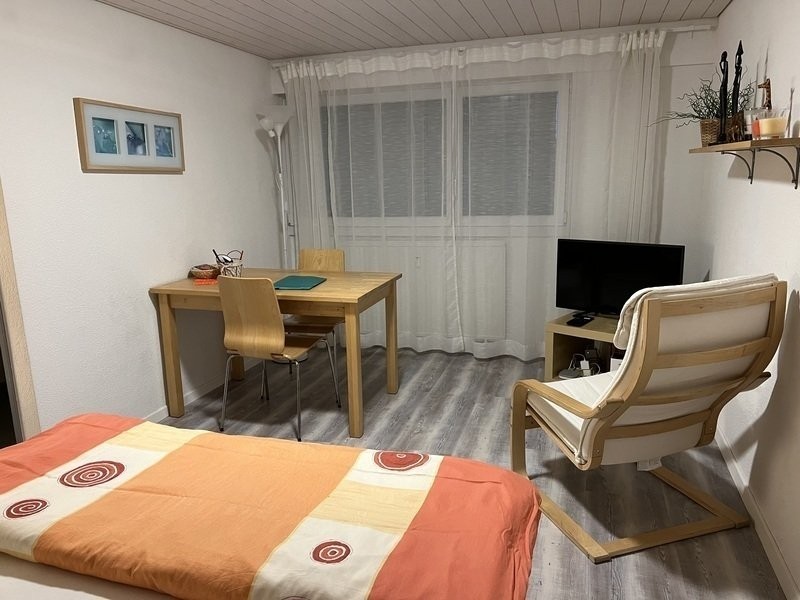 Appartement meublé 1 pièce