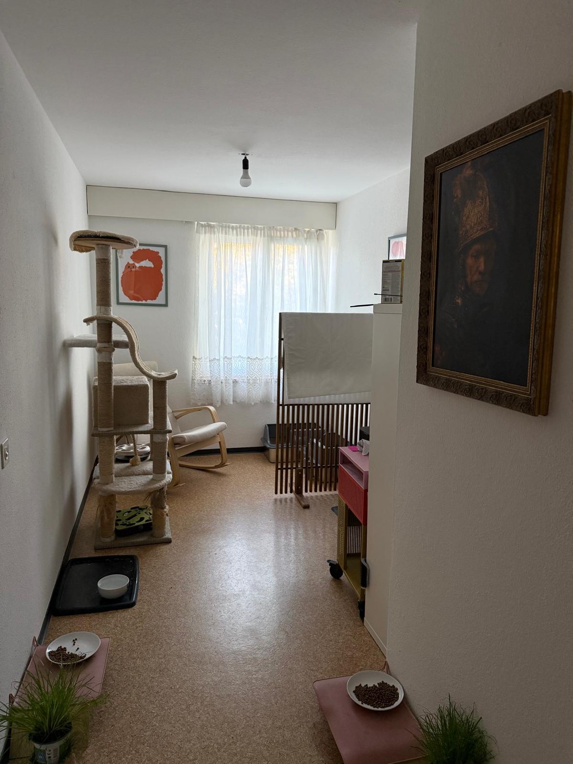 3 ½ rooms apartment
