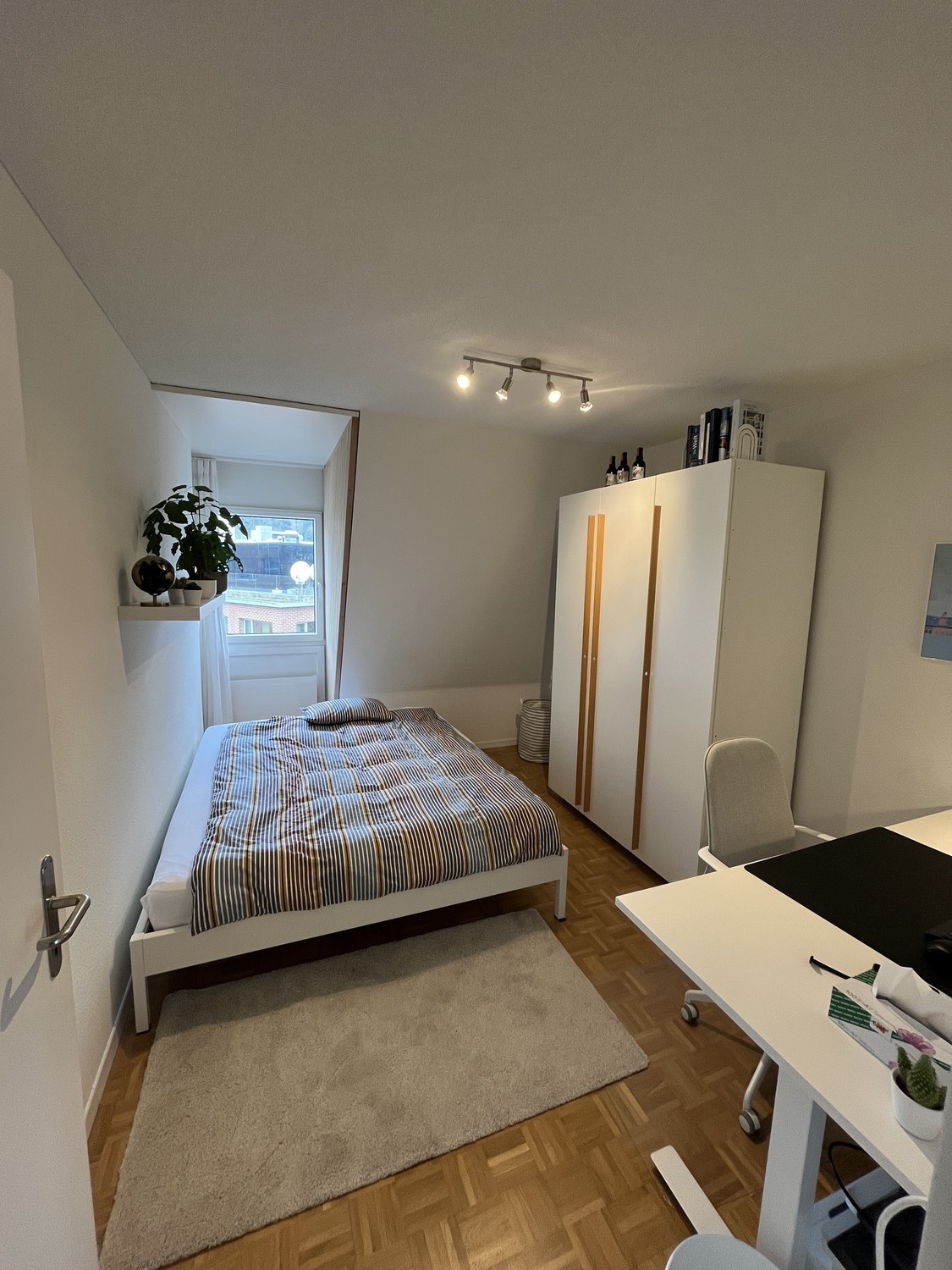 Room in a shared flat