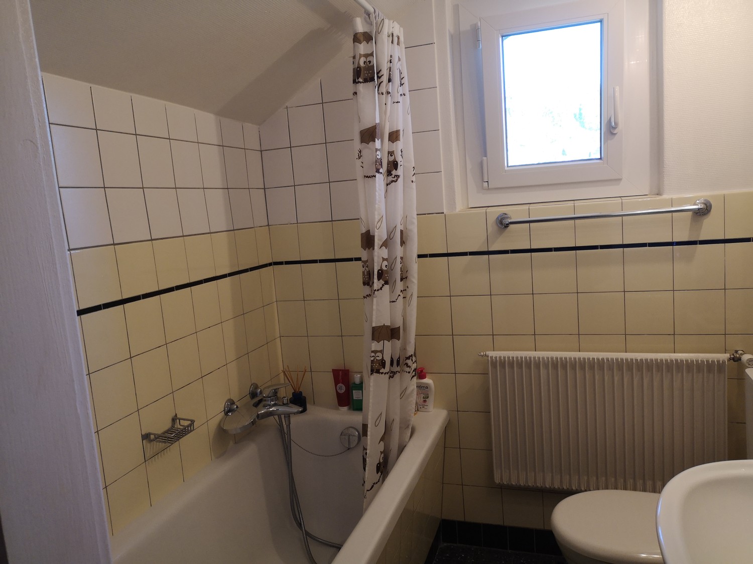3 ½ Zimmer Wohnung
