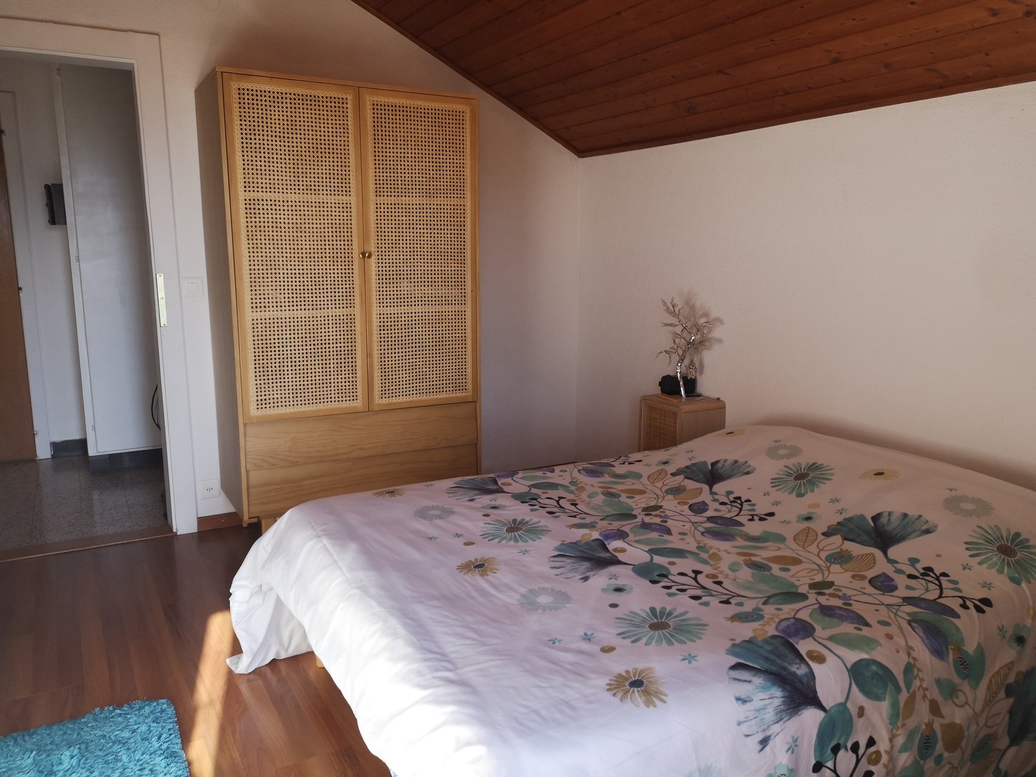 3 ½ Zimmer Wohnung