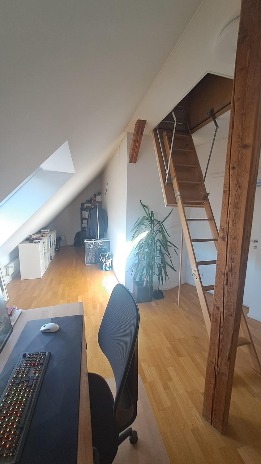 Appartamento di 3 ½ locali