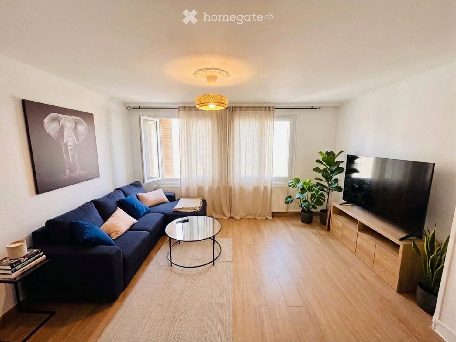 1 Zimmer Einzelzimmer