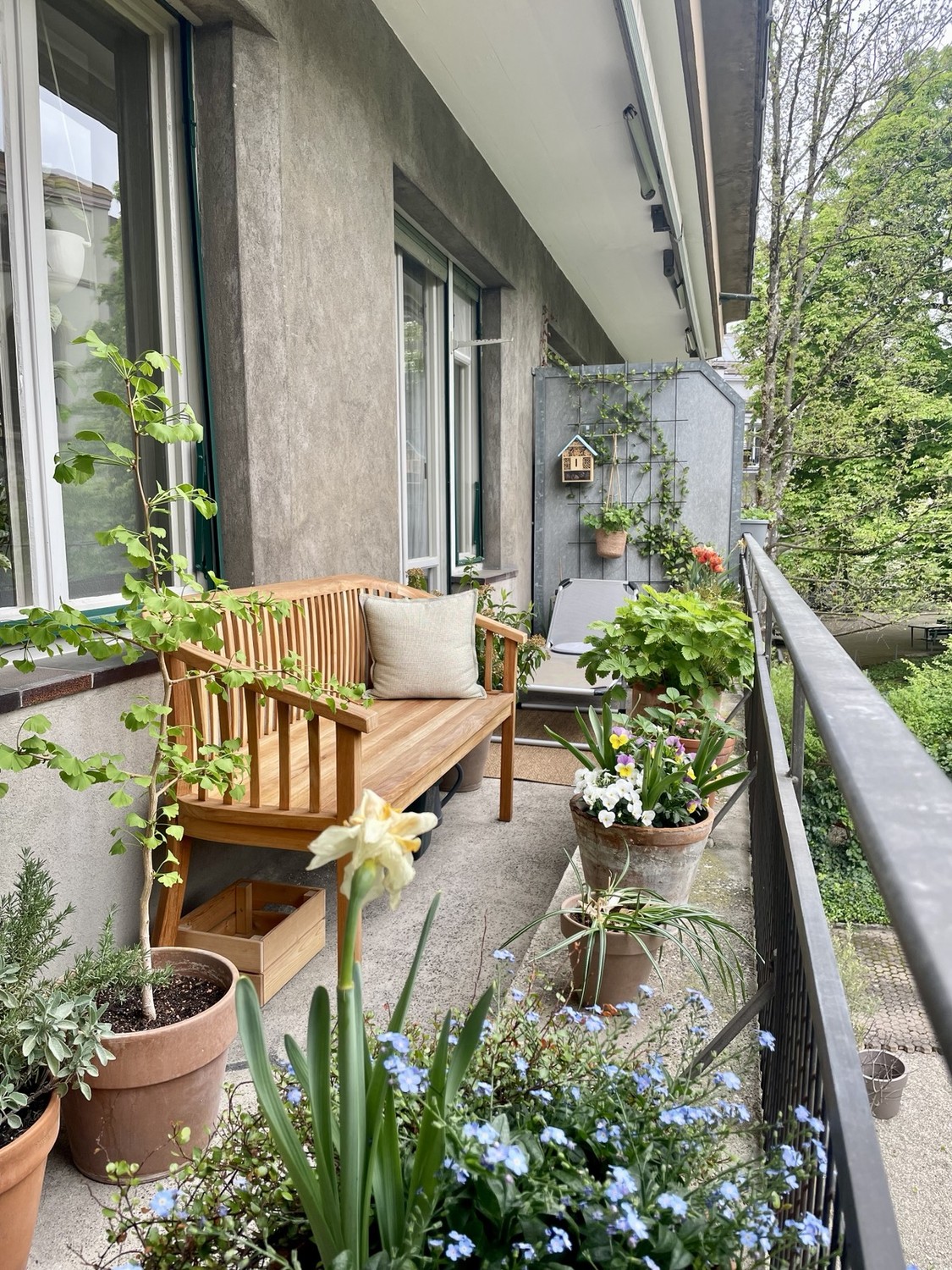 2 ½ rooms apartment