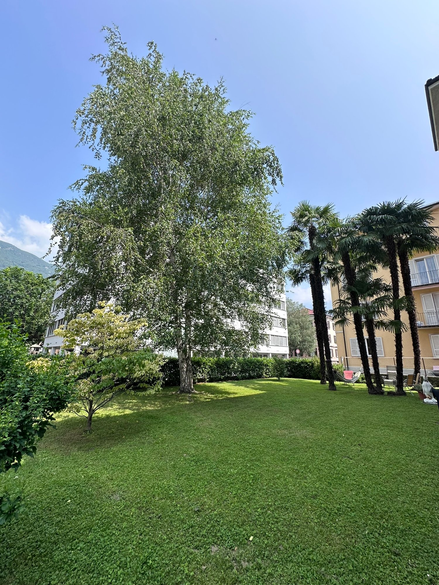 5 ½ rooms apartment