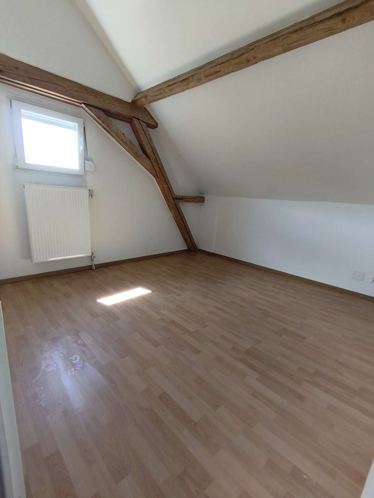1 room loft